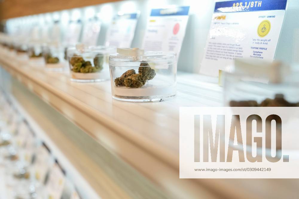 Syndication The Columbus Dispatch Oct 18, 2023; Monroe, Michigan, USA