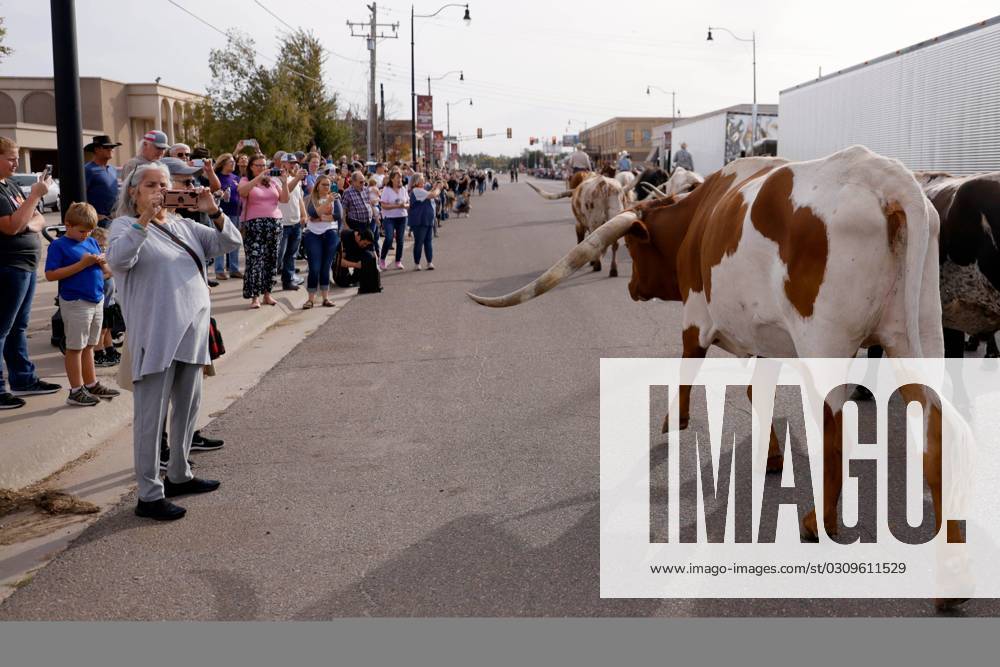 Syndication: The Oklahoman Slash O Ranch Longhorns are paraded down ...