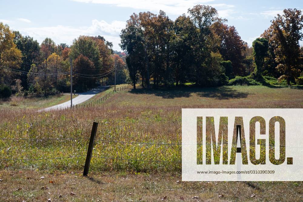 Syndication The Knoxville NewsSentinel A view of the land at 0 Boring