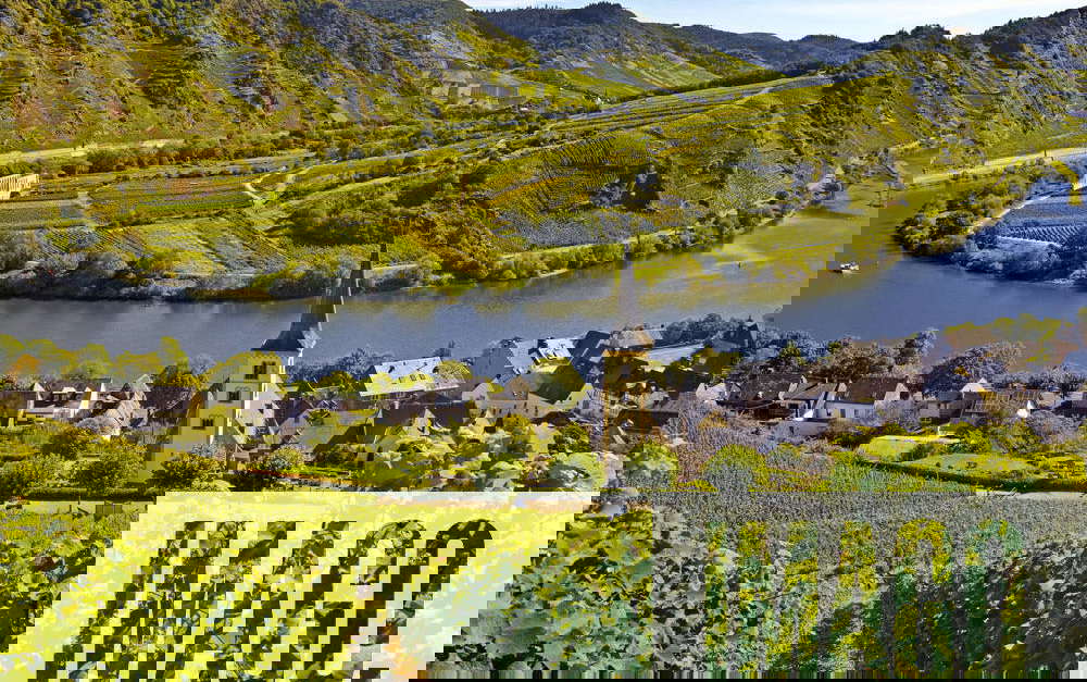 Moselle Loop from Via ferrata through the Bremmer Calmont, Germany