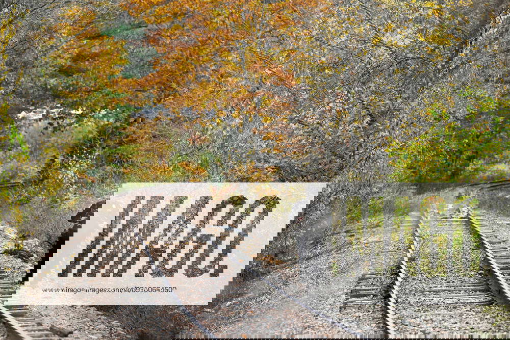 News Lewiston Maine mass shooting coverage A Lisbon, Maine, police