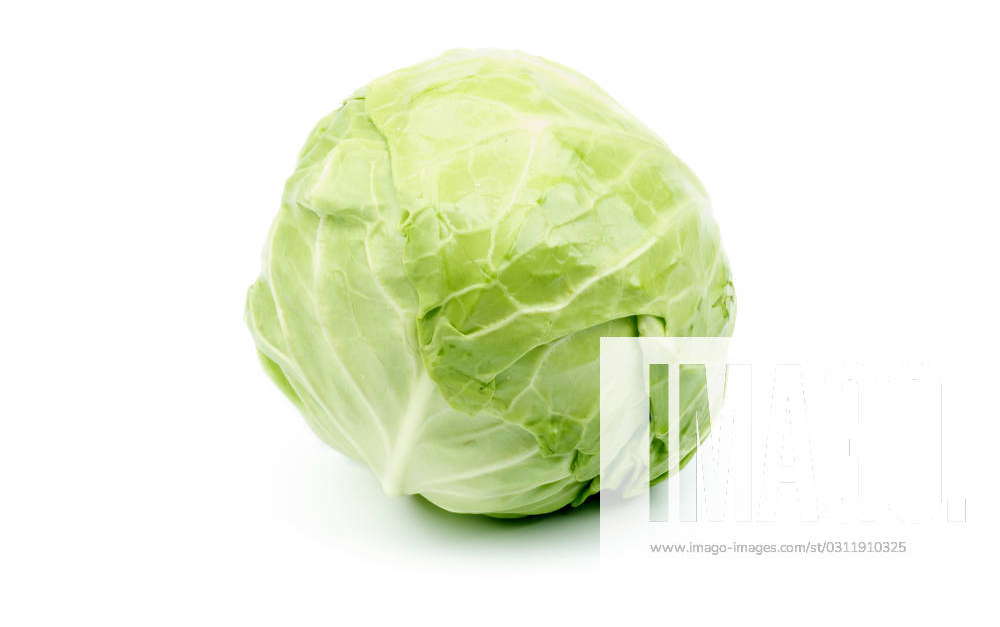 Raw Full Body Head of Cabbage isolated on white