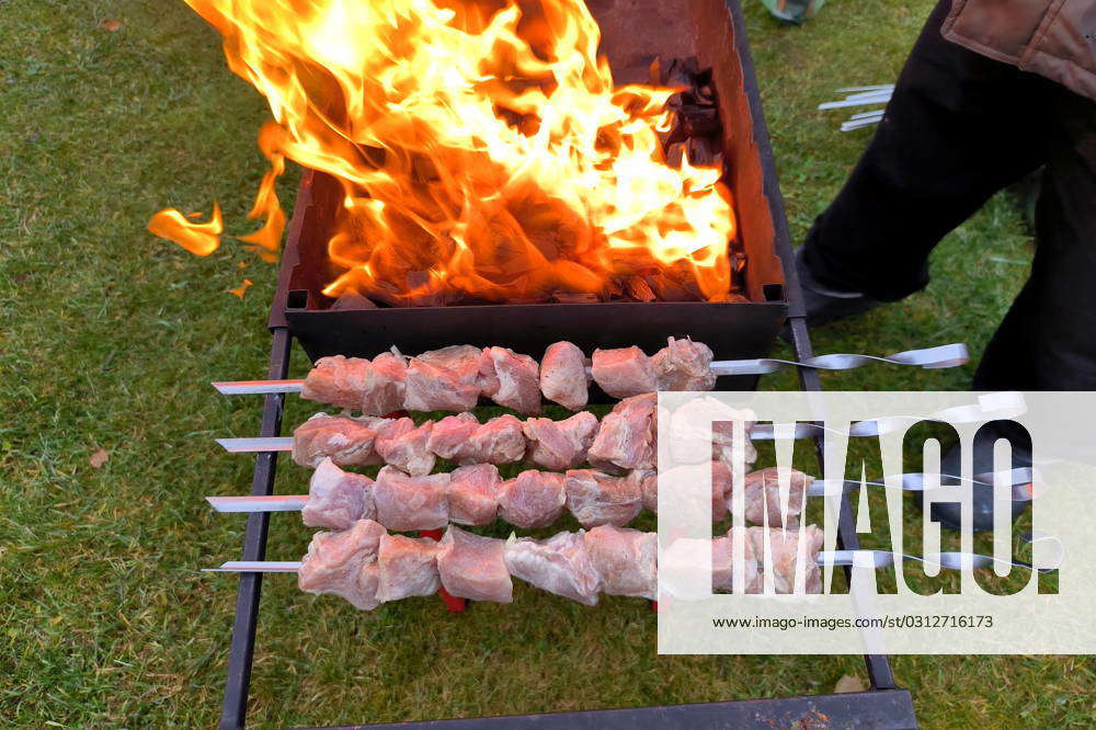 Russian Federation. Leningrad region. Village. Cooking barbecue on the ...