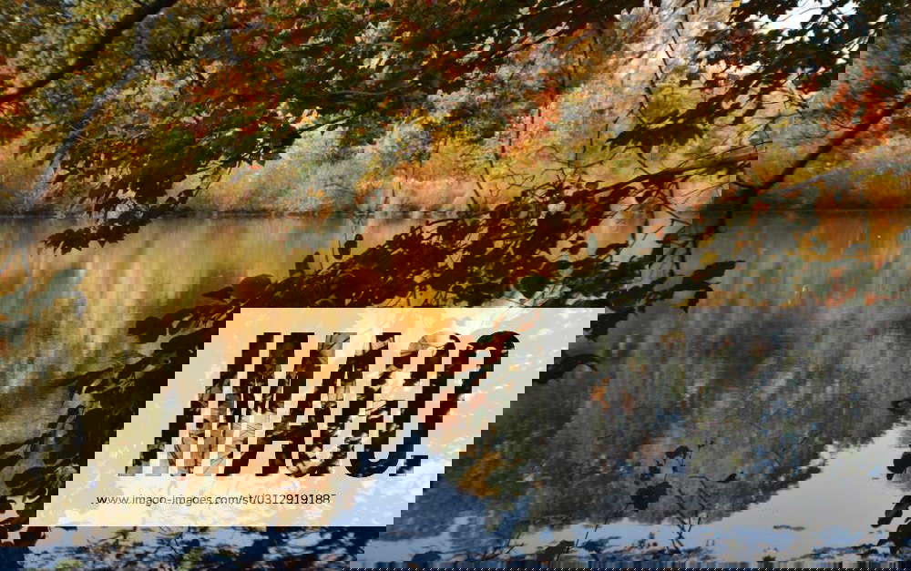 Syndication CourierPost A trail in Croft Park offers a view of Evans Pond