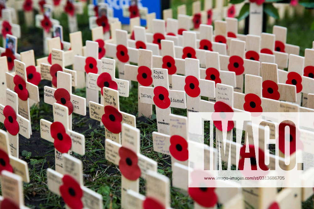 Field of Remembrance at Westminster Abbey, London UK - 09 Nov 2023 ...