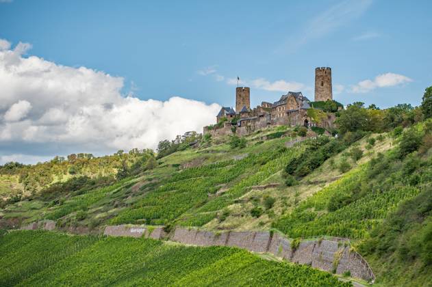 Burg Thurant Burg Thurant auf einem Weinberg bei Alken