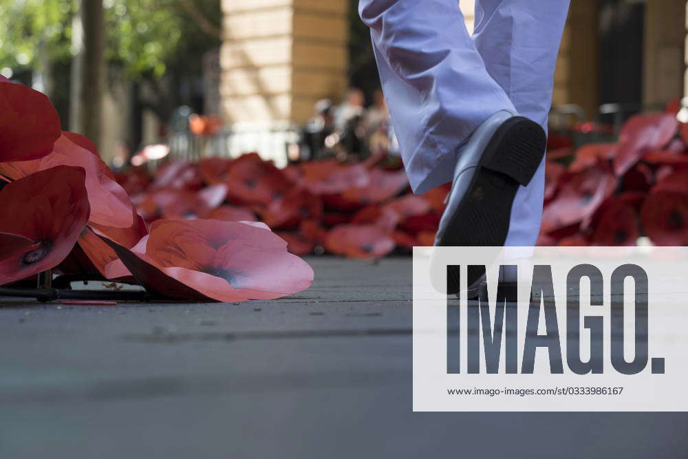 Remembrance day sydney 2024