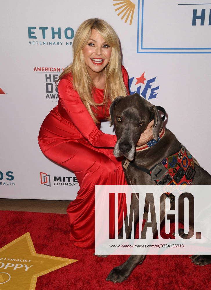 The American Humane Hero Dog Awards at The Breakers Featuring: Christie ...