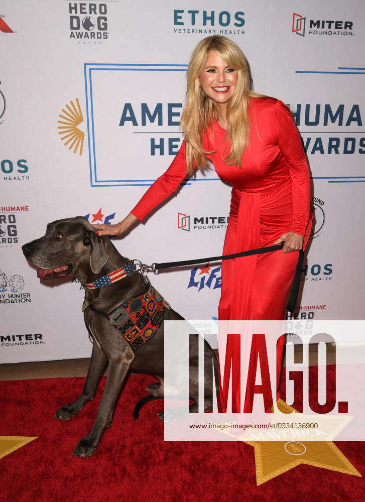 The American Humane Hero Dog Awards at The Breakers Featuring: Christie ...