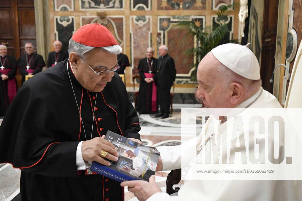 Pope Francis Holds An Audience - Vatican Pope Francis Receives In ...