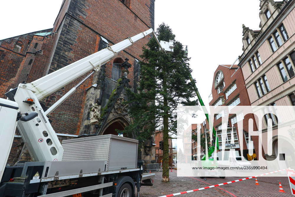 Lower Saxony, Hanover, Christmas tree in front of the Marktkirche