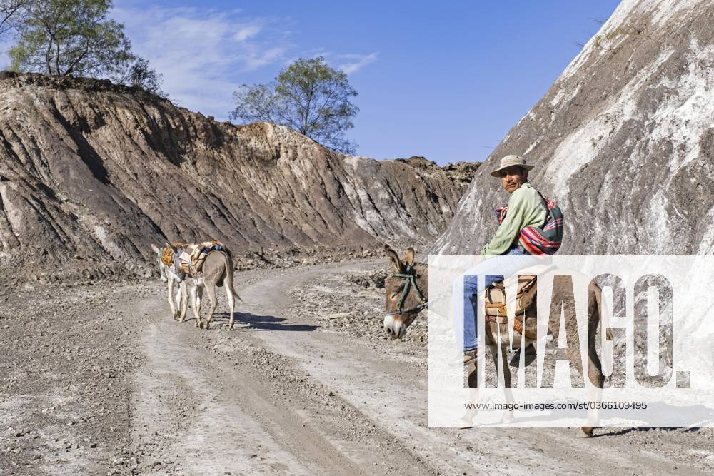 Bolivian Guaraní Man rides at a Donkey along a Mountain road in the ...