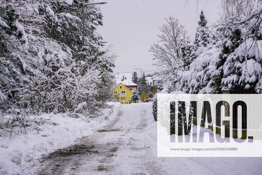 Winter Hits Poland, Gdansk A snow-covered forest road and trees are ...