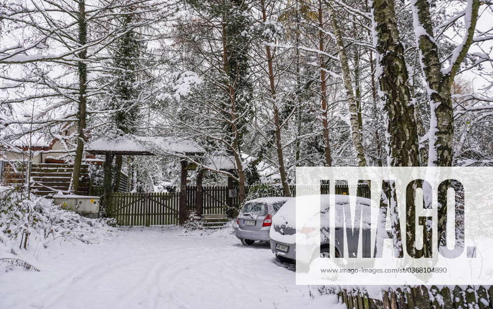 Winter Hits Poland, Gdansk A snow-covered forest road and trees are ...