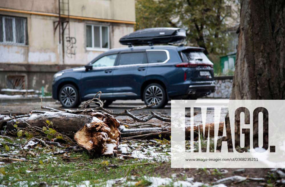 Russia Weather 8567015 27 11 2023 The View Shows Trees Felled By Gusts   M 