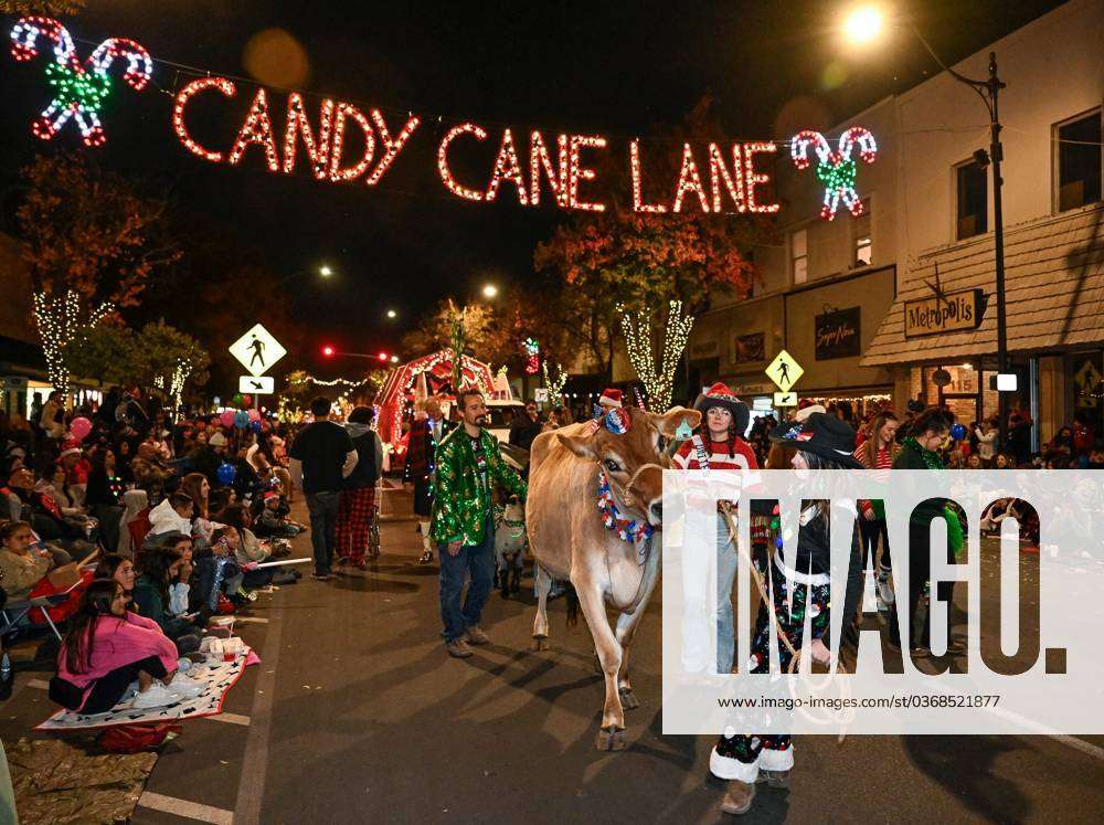 Syndication Visalia TimesDelta 77th Annual Candy Cane Lane Parade on