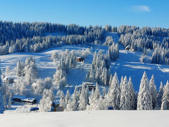 Feldberg theme picture winter sports, skiing, skiing fun on the ...