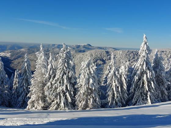 Feldberg theme picture winter sports, skiing, skiing fun on the ...