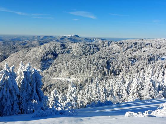 Feldberg theme picture winter sports, skiing, skiing fun on the ...