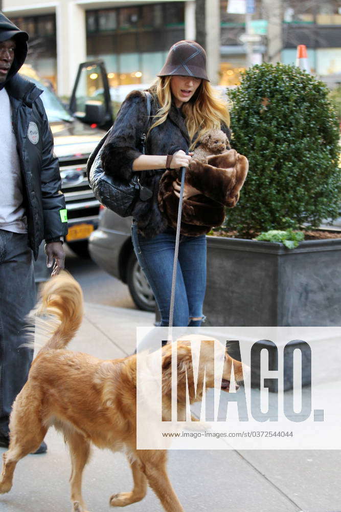 **EXCLUSIVE** Blake Lively takes Ryan Reynolds dog Baxter for a walk