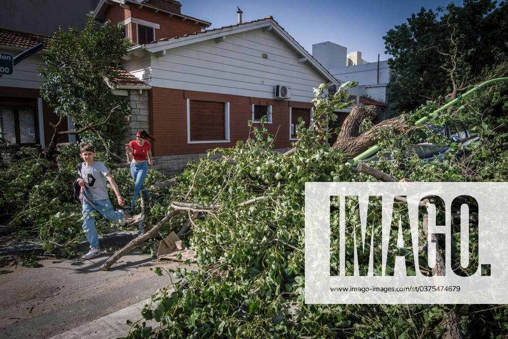 A storm in Argentina left 13 dead in the outskirts of Buenos Aires ...