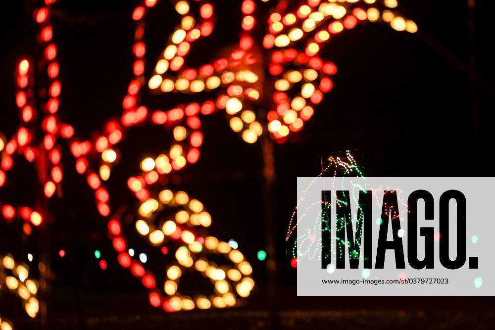 Syndication The Greenville News Hollywild Animal Preserve s Magic of