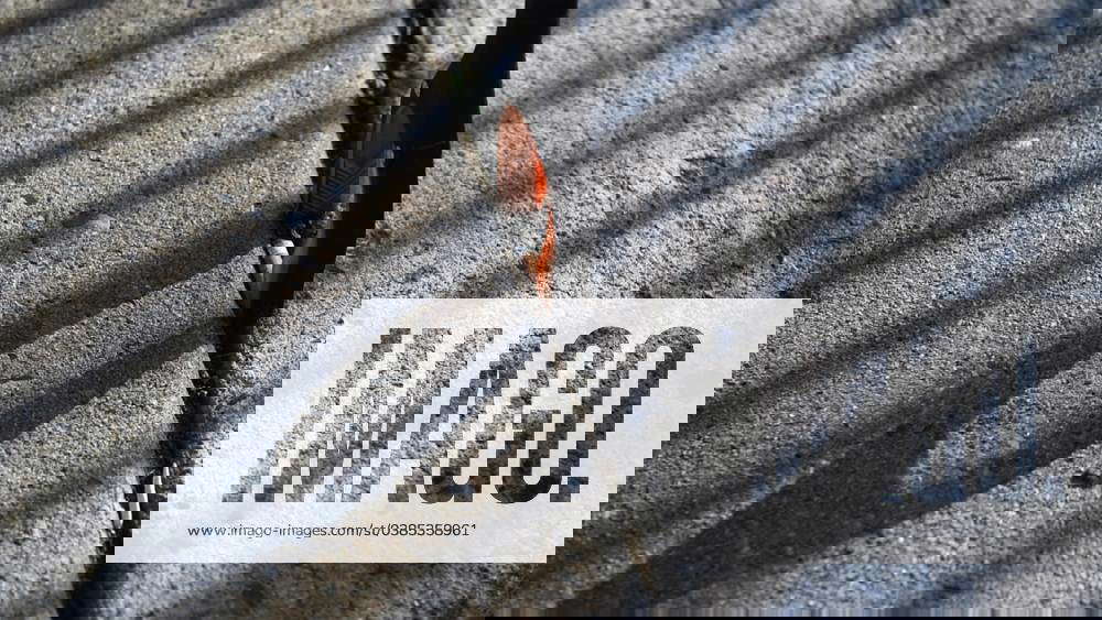 Syndication CourierPost Cinnaminson resident Jim Alturo uses a trash