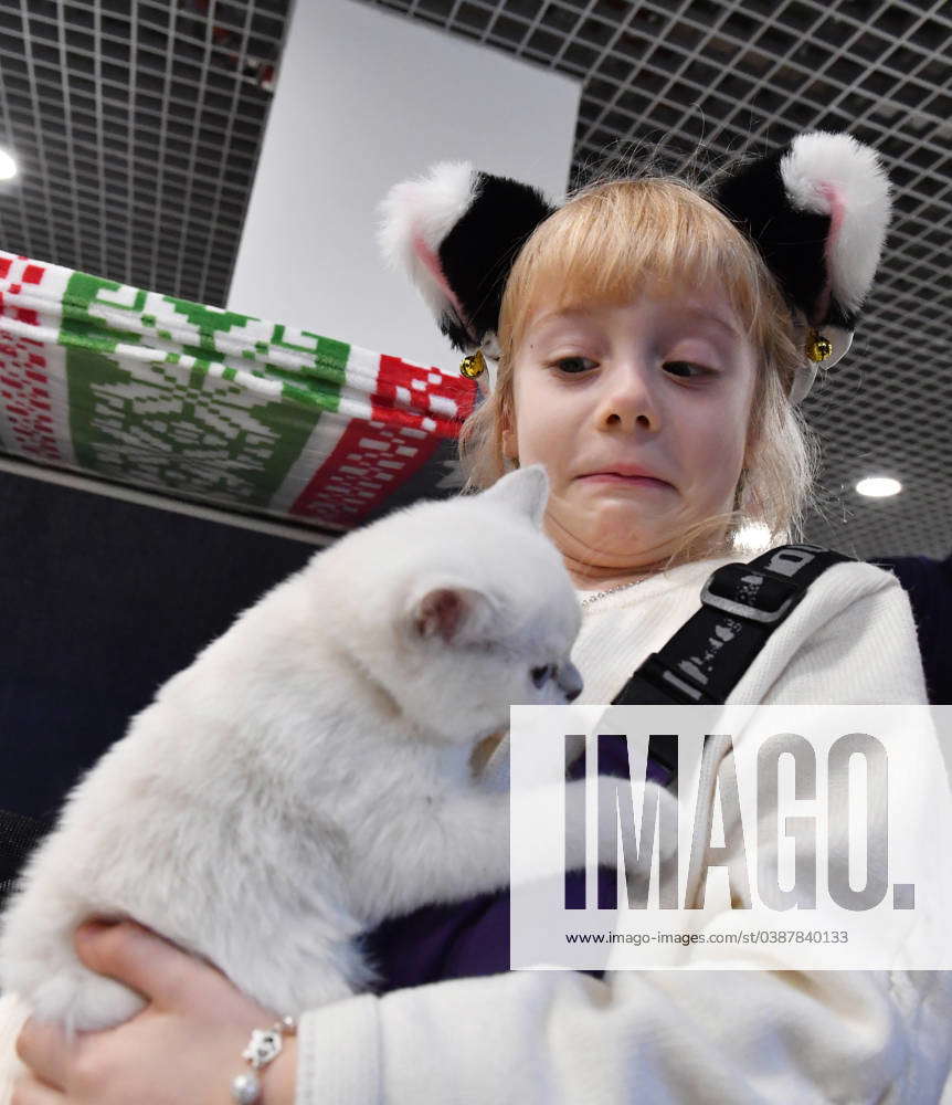 Russia Cat Show 8597894 13.01.2024 A girl holds a cat during the