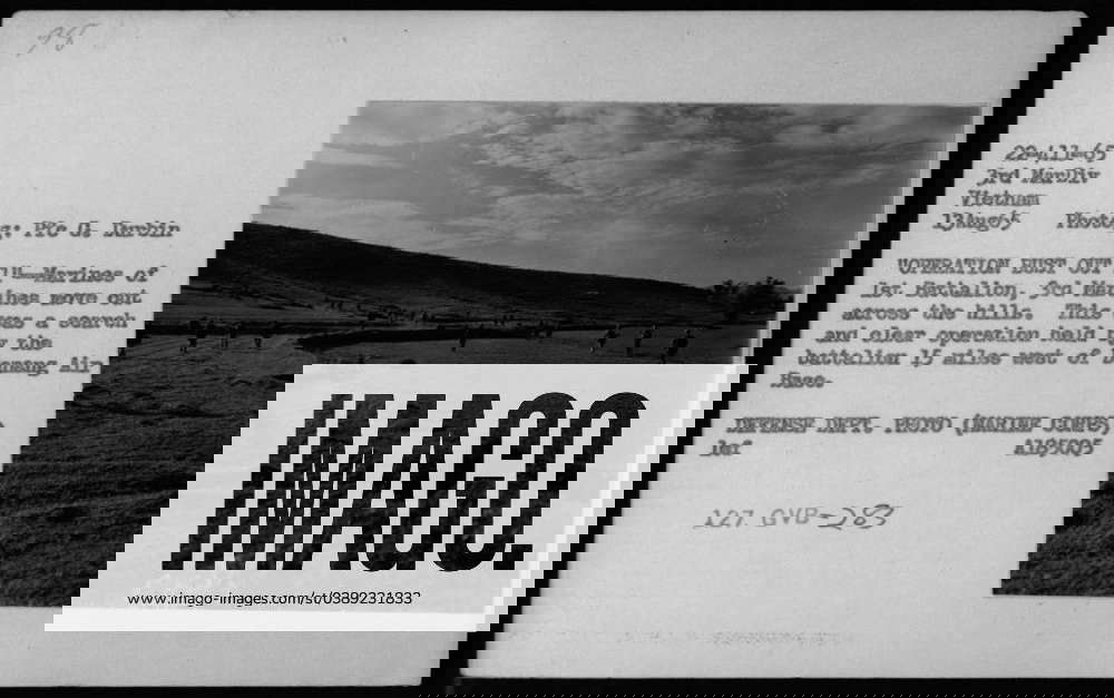 US Marines from 1st Battalion, 3rd Marines participating in Operation