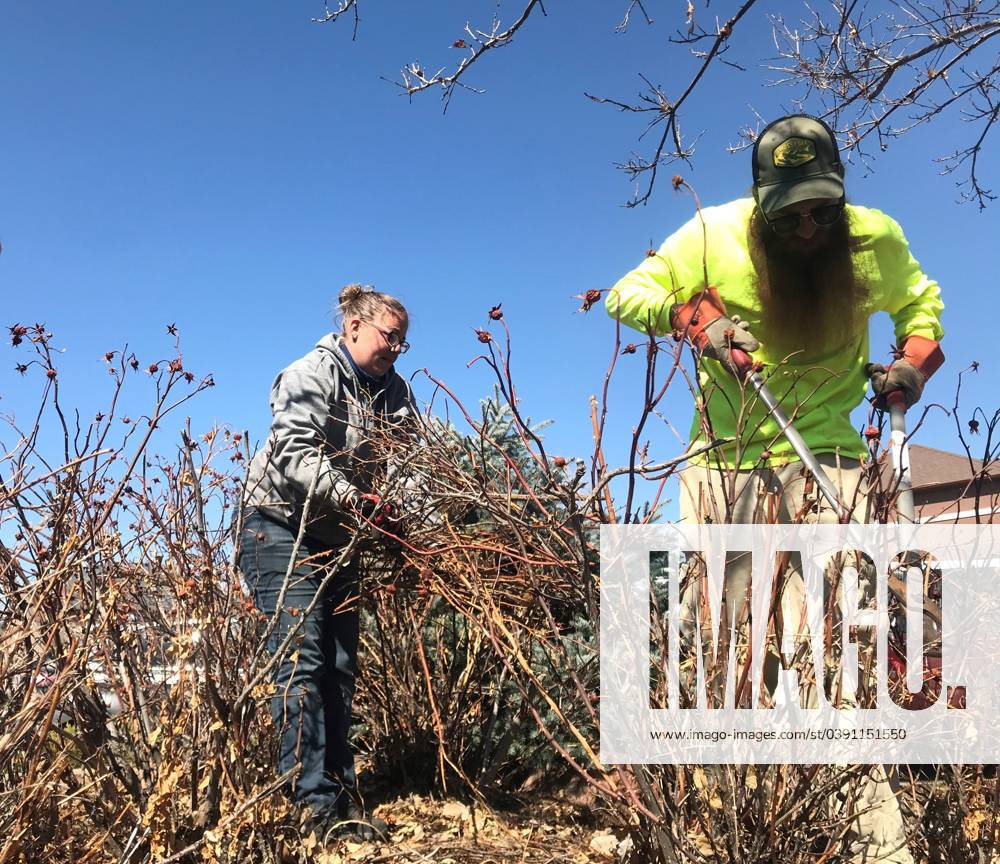 Syndication The Coloradoan, Valerie Stalder and Jeremy McReynolds of Belmire Sprinkler and