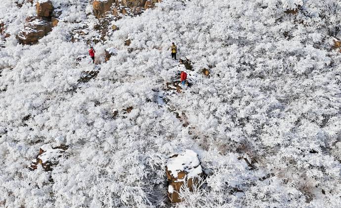 Snow Rime Three mountaineering enthusiasts are taking photos of the ...