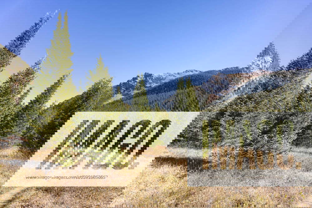 Hiking trail in the Eagles Nest Wilderness, Colorado United States