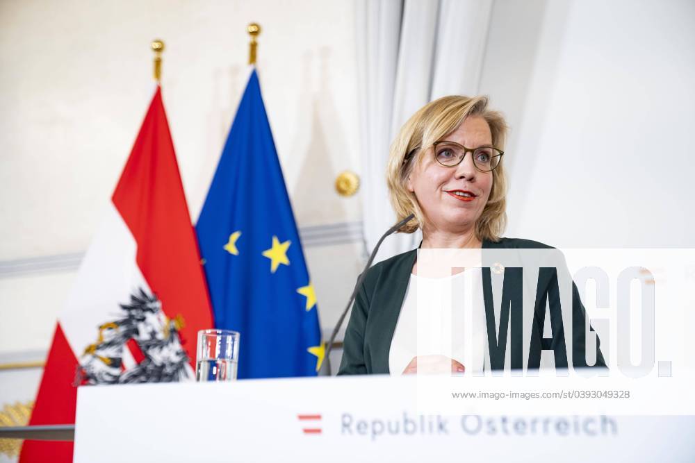 Vienna, Austria 24 January 2024 Press foyer on extension of electricity