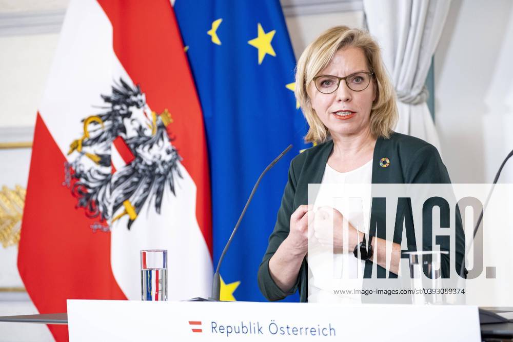 Vienna, Austria 24 January 2024 Press foyer on extension of electricity