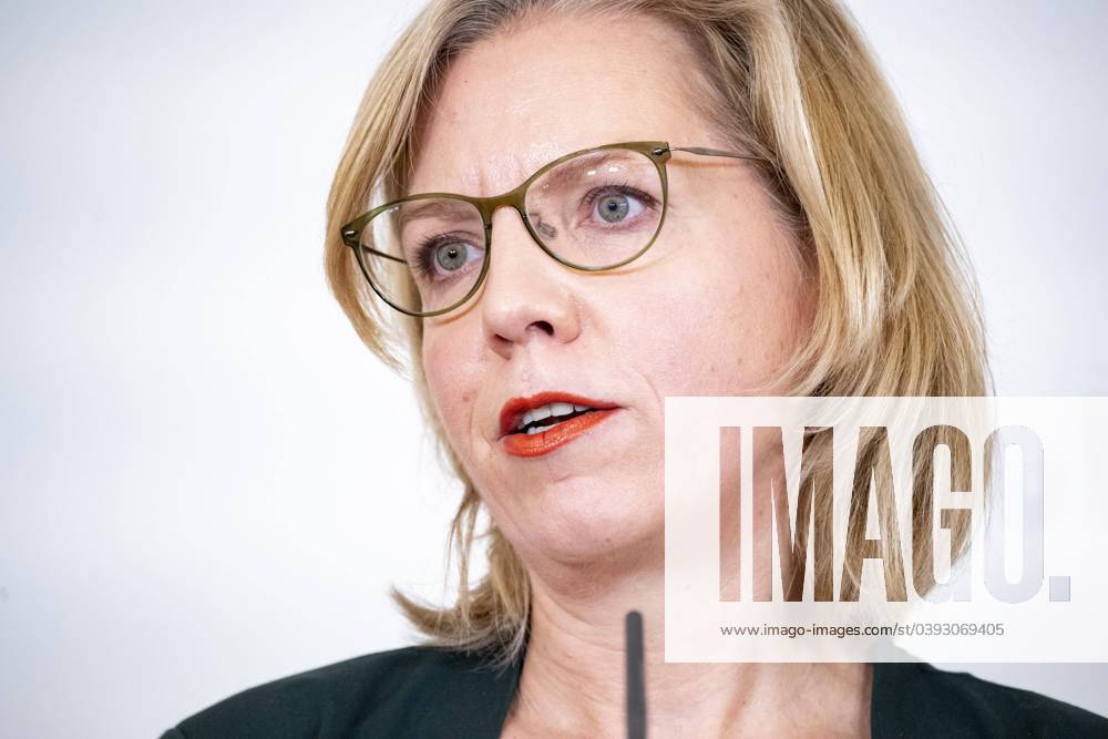 Vienna, Austria 24 January 2024 Press foyer on extension of electricity