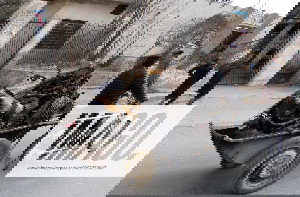 QUETTA, PAKISTAN, JAN 29 A man carries engine on his cart passing