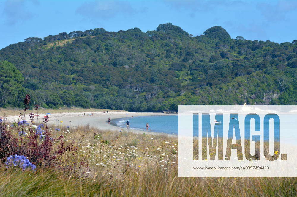 Cooks Beach - New Zealand HAHEI, NZL - Jan 20 2015:Visitors in Cooks ...