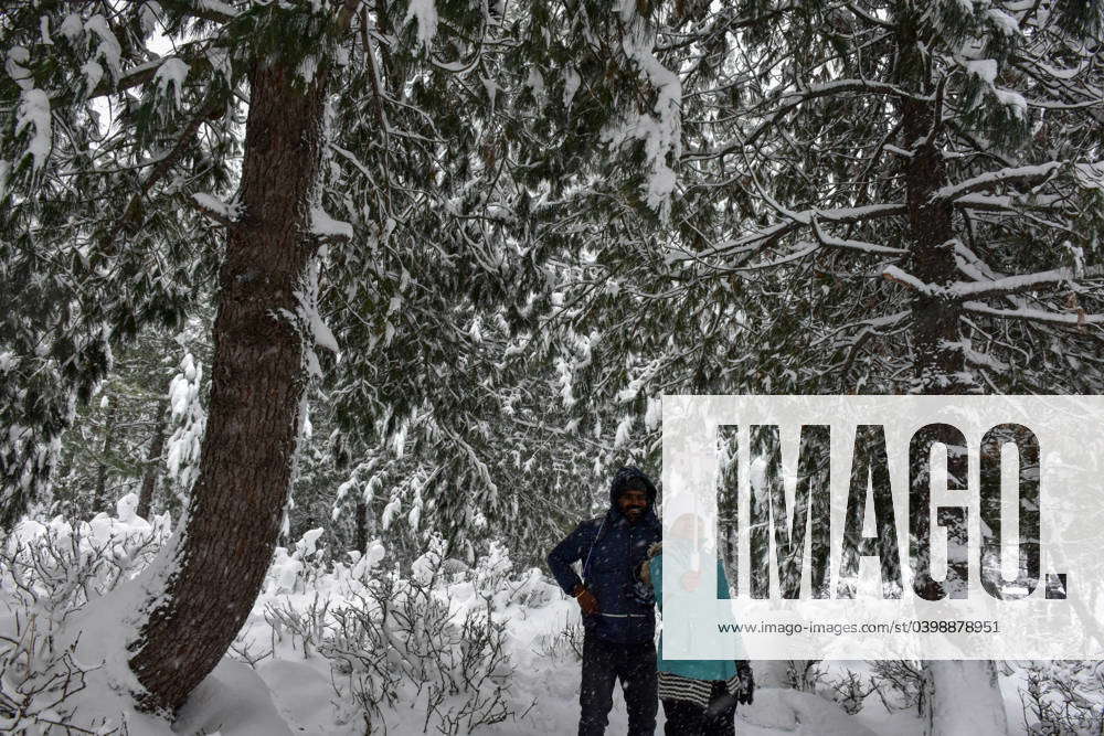 Snowfall brings cheers to tourists in Kashmir, India 02 Feb 2024 An