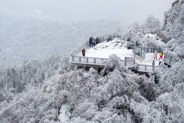 Tourists View Rime at in Nanjing Tourists are viewing rime at Zijin ...