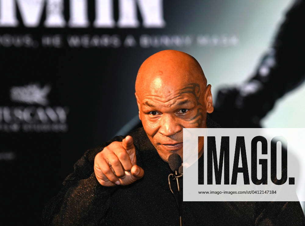 Turin, Mike Tyson protagonist of the film Bunny Man photocall Turin ...