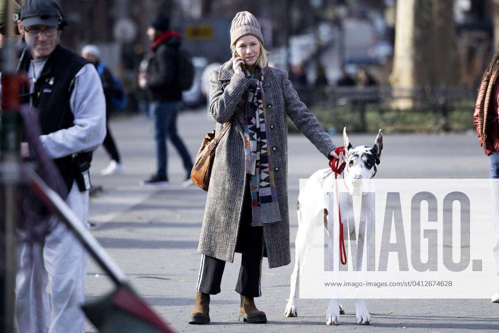 Naomi Watts With Great Dane Bing During The Filming Of The Movie The ...