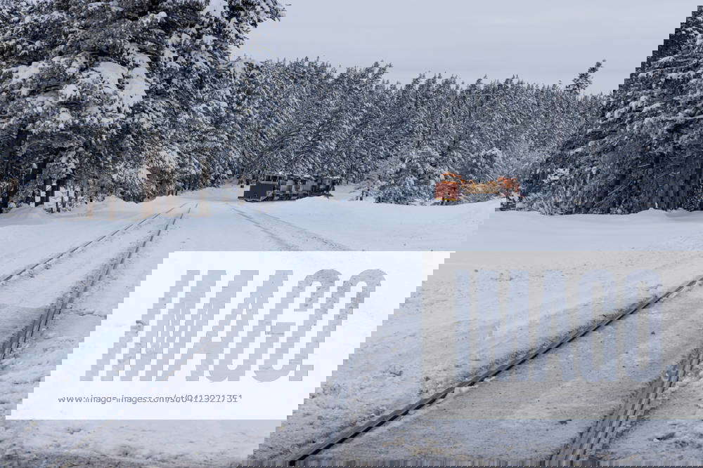 Union Pacific Train Crews Plow Tracks. Union Pacific train crews are