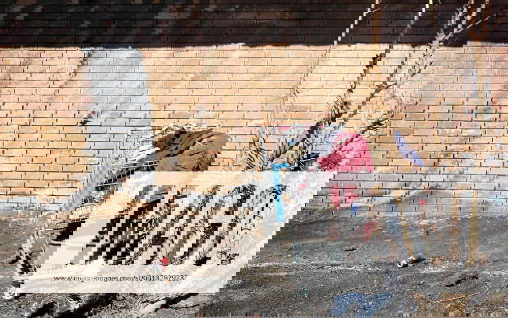 Syndication The Oklahoman A homeless camp is set up behind Lamp Post