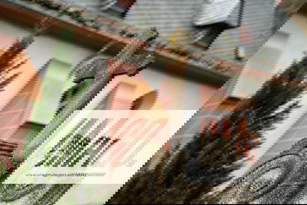 Stone cross in cemetery 14 02 24, Hadamar Symbol photo, illustration