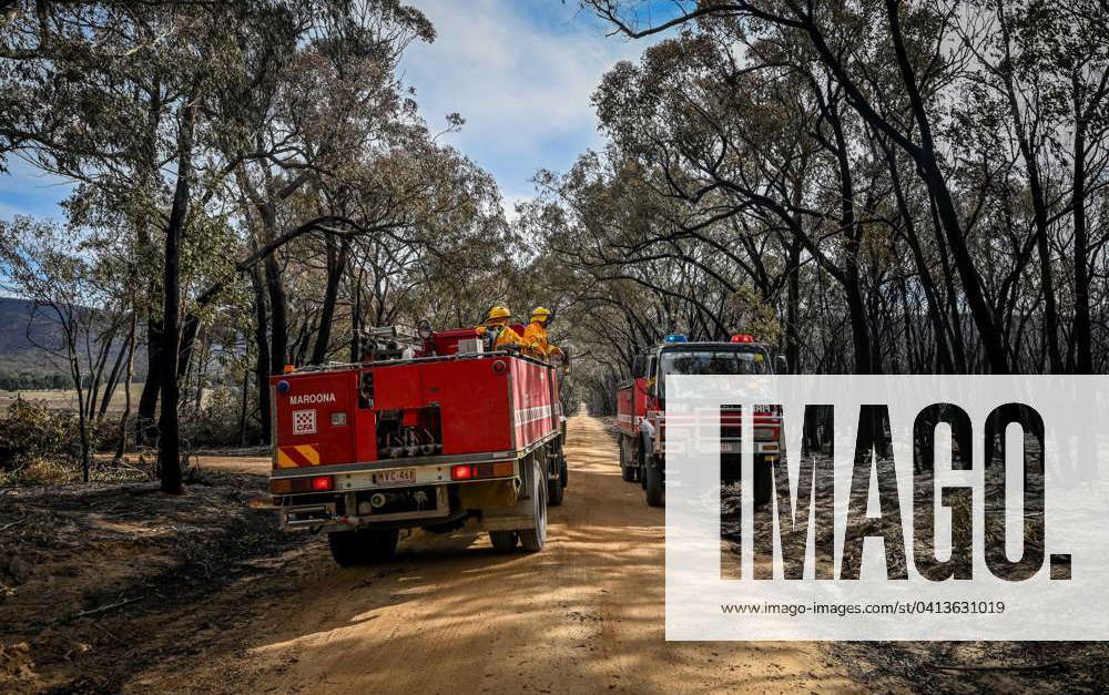 BUSHFIRES VIC, A CFA members in the fire damed town of Pomonal ...