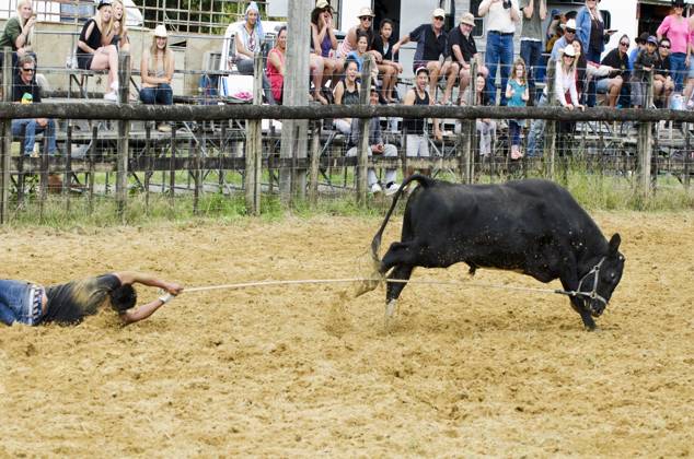 Extreme Sport - Rodeo NORTHLAND, NEW ZEALAND - APRIL 8 2012: Bull ...