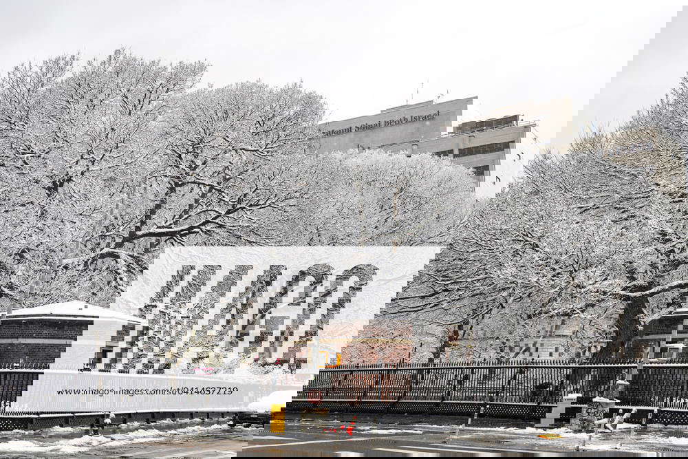 NYC Weather Snow is covering the trees and streets in Stuyvesant Park