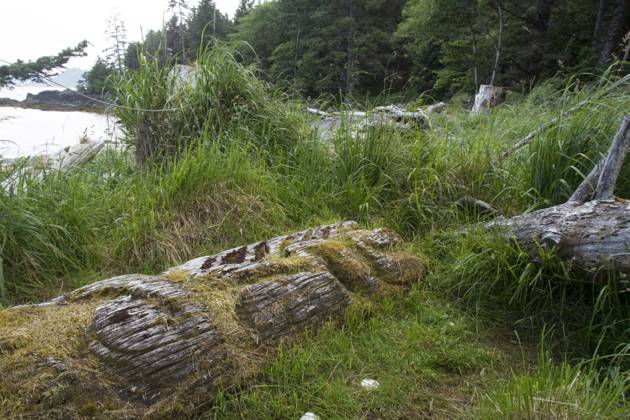 Old Totem ploes at Skedans, Gwaii Haanas National Park Reserve and ...