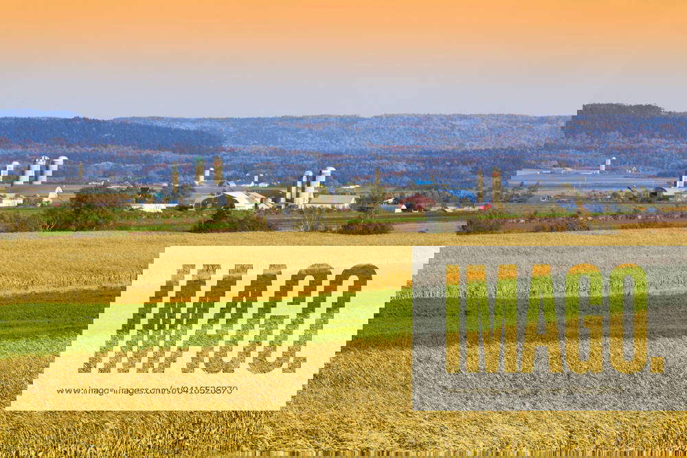Cornfields and farms, Saint_Denis_sur_Richelieu, Quebec, Canada