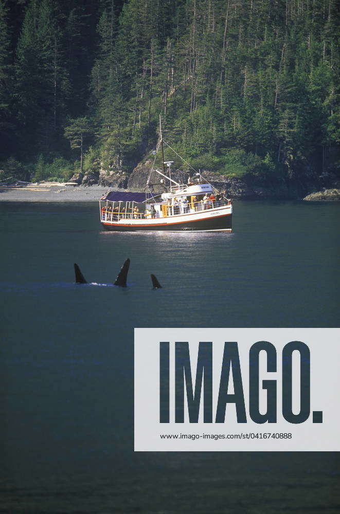 Tourists on the Gikumi Whale watching, British Columbia, Canada